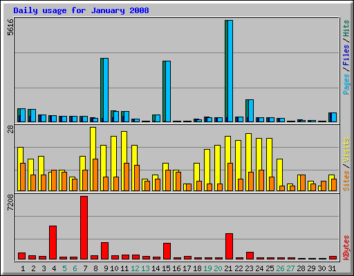 Daily usage for January 2008