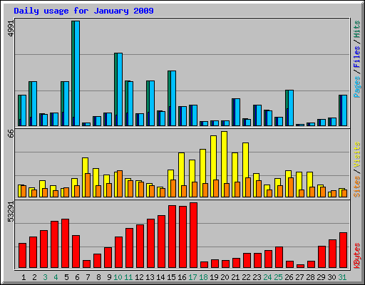 Daily usage for January 2009