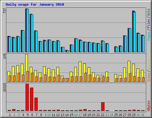 Daily usage for January 2010