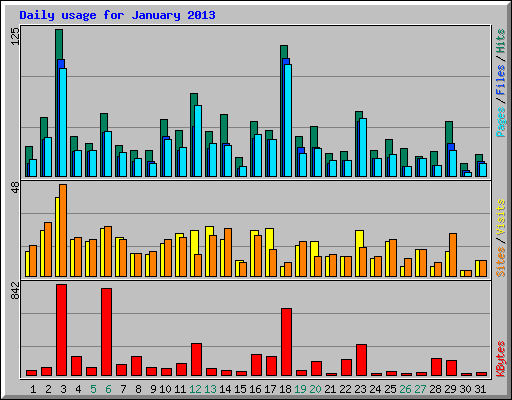 Daily usage for January 2013