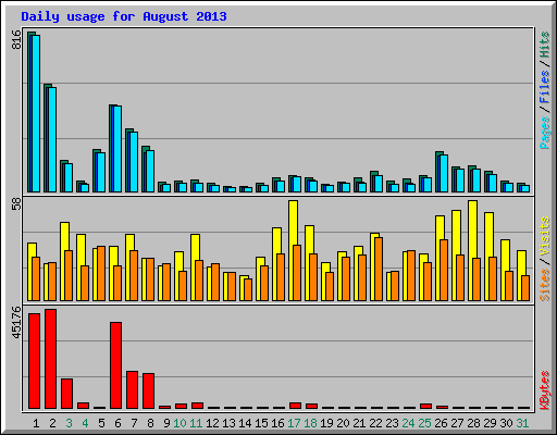 Daily usage for August 2013