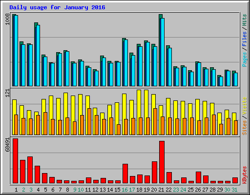 Daily usage for January 2016