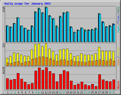 Daily usage for January 2021