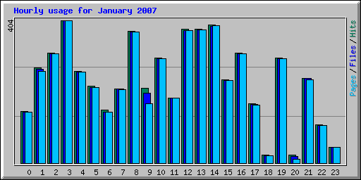 Hourly usage for January 2007