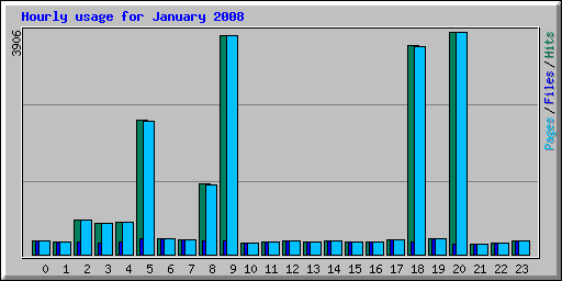 Hourly usage for January 2008