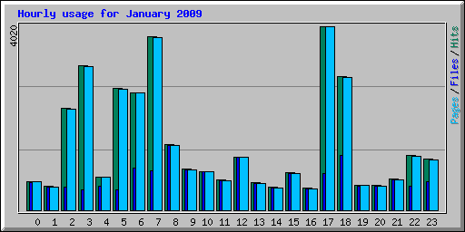 Hourly usage for January 2009