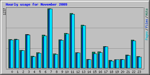 Hourly usage for November 2009