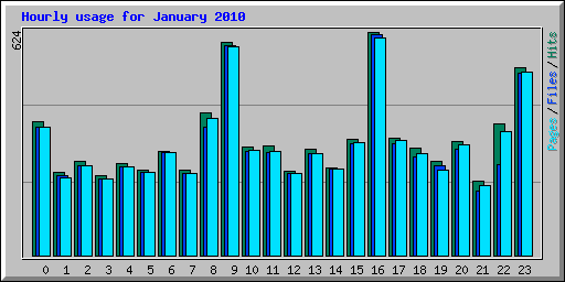 Hourly usage for January 2010