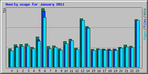 Hourly usage for January 2011