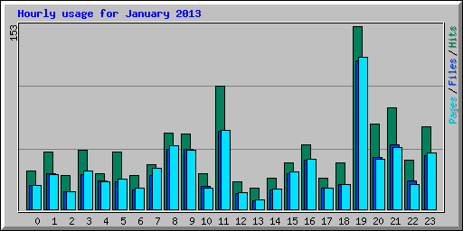 Hourly usage for January 2013