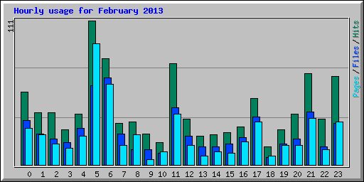 Hourly usage for February 2013