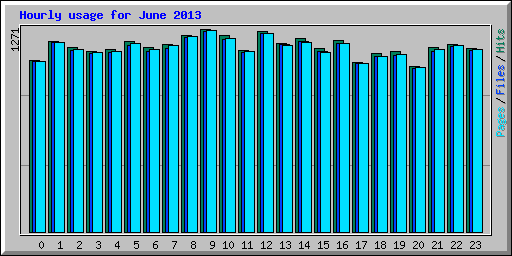 Hourly usage for June 2013