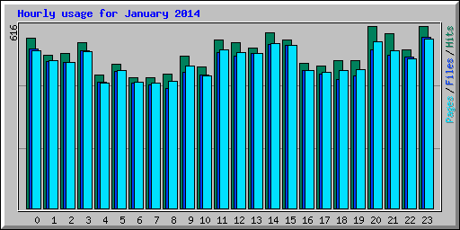 Hourly usage for January 2014