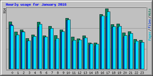 Hourly usage for January 2016