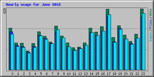 Hourly usage for June 2016