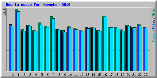 Hourly usage for November 2016