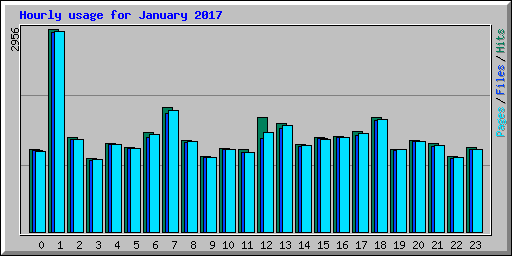 Hourly usage for January 2017