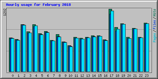 Hourly usage for February 2018