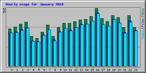 Hourly usage for January 2019