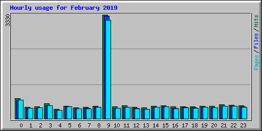 Hourly usage for February 2019