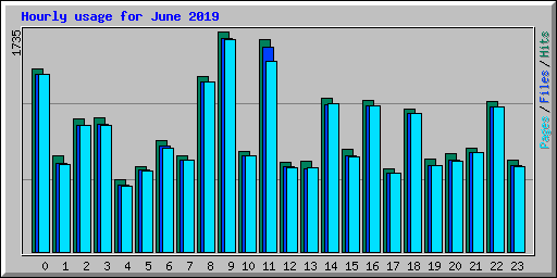 Hourly usage for June 2019