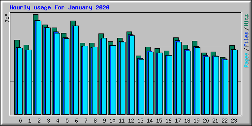 Hourly usage for January 2020