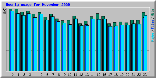 Hourly usage for November 2020