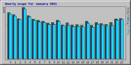 Hourly usage for January 2021