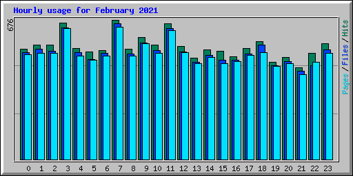 Hourly usage for February 2021